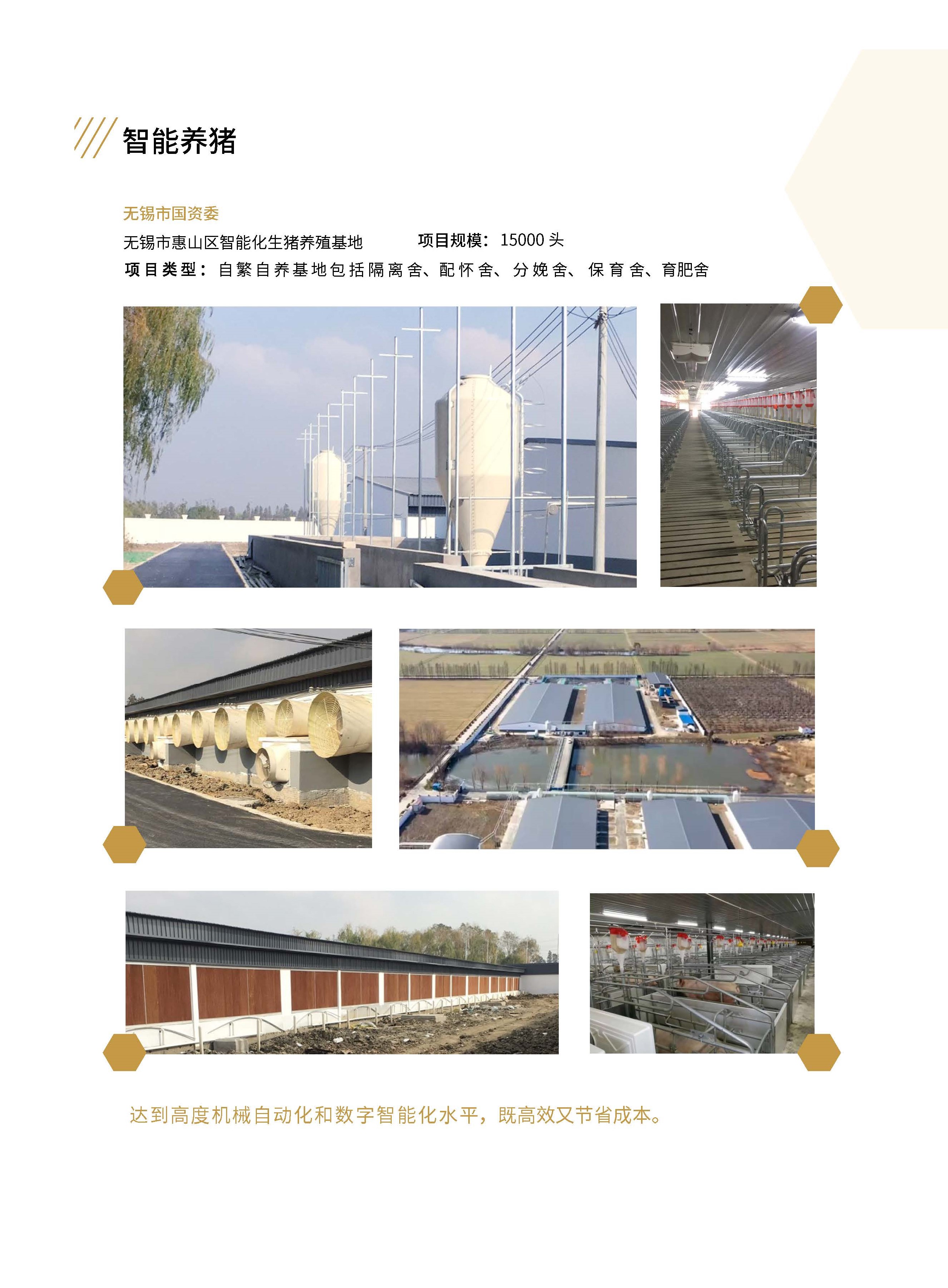 智能養豬 智能養豬